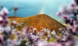 Meke Krater Gölü’nde bahar güzelliği