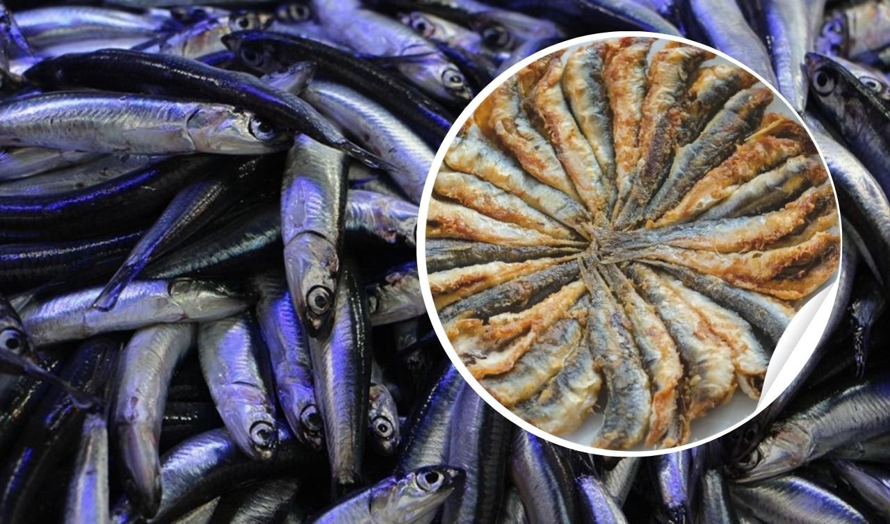 Konya’da hamsi festivali başlıyor: 5 ton ücretsiz dağıtılacak