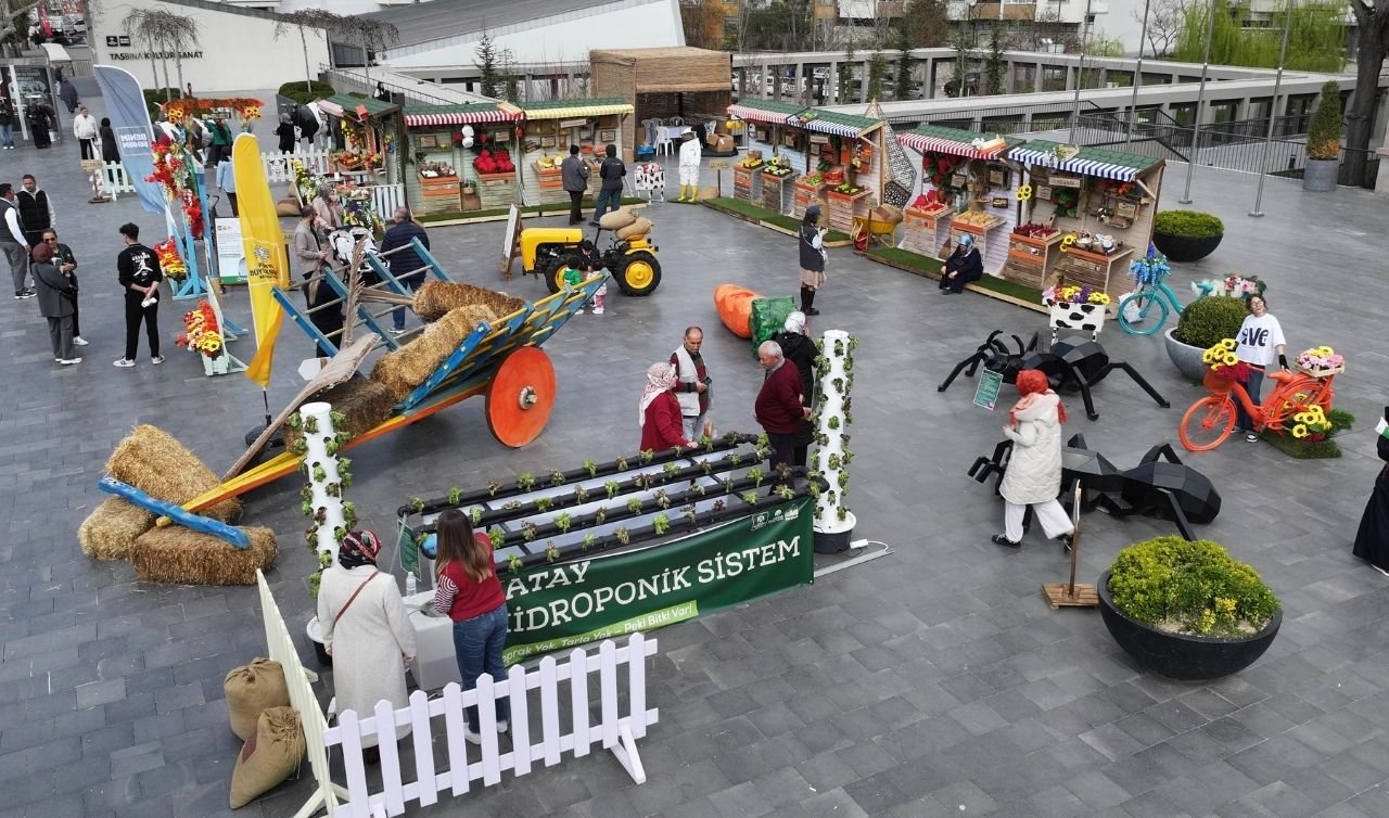 Konya’da tarım şehre taştı! Bu alanları görenler hayran kalıyor