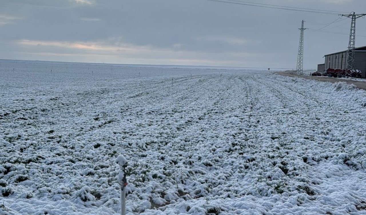 Konya’da çiftçi derin nefes aldı: Don bu kez vurmadı