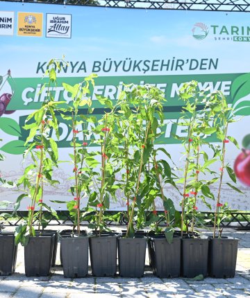 Konyalı çiftçilere binlerce fidan dağıtıldı
