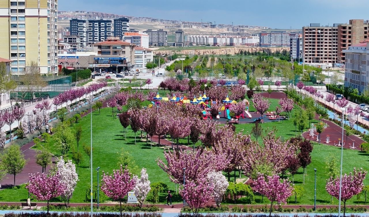 Japonya’nın meşhur sakuraları Konya’da hayat buldu