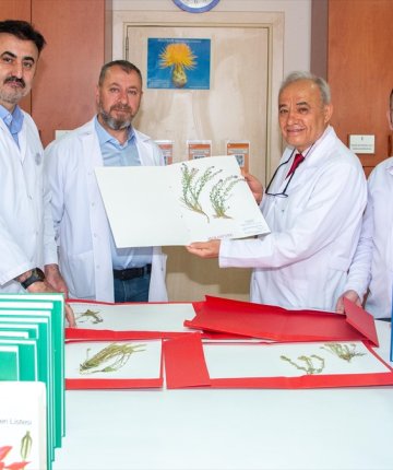 Selçuk Üniversitesi ekibi keşfetti: 4 yeni kayagülü türü literatüre girdi