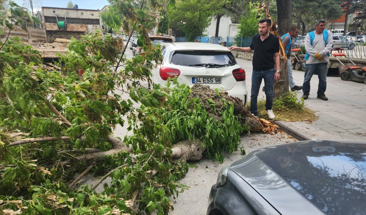 Konya’da kuvvetli rüzgar nedeniyle devrilen ağaç otomobilde hasara neden oldu