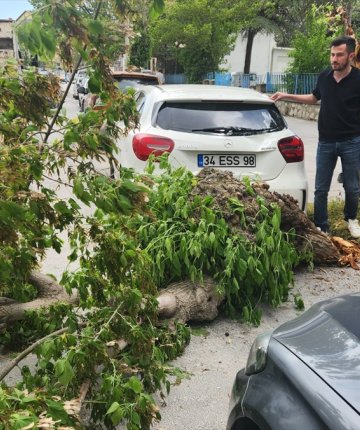 Konya’da kuvvetli rüzgar nedeniyle devrilen ağaç otomobilde hasara neden oldu