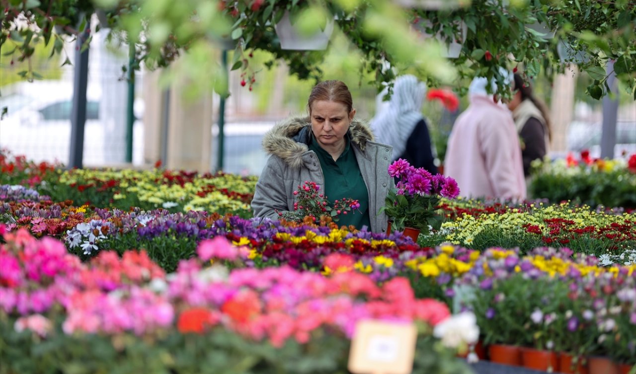 Konya’da gören dönüp bir daha bakıyor: Fiyatı tam 150 bin lira