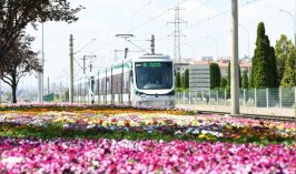 Konya çiçek açtı! Cadde ve parklar göz kamaştırıyor