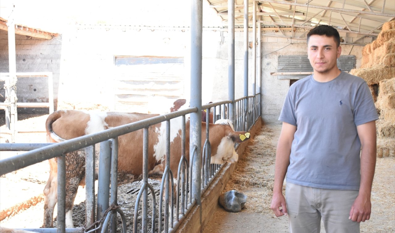 Konya’da 22 yaşındaki üretici günde 210 litre süt üretiyor