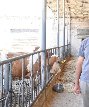 Konya’da 22 yaşındaki üretici günde 210 litre süt üretiyor