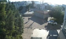 Konya’da sanayi sitesinde facianın eşiğinden dönüldü: Kuğuların oyunu yangın çıkardı!