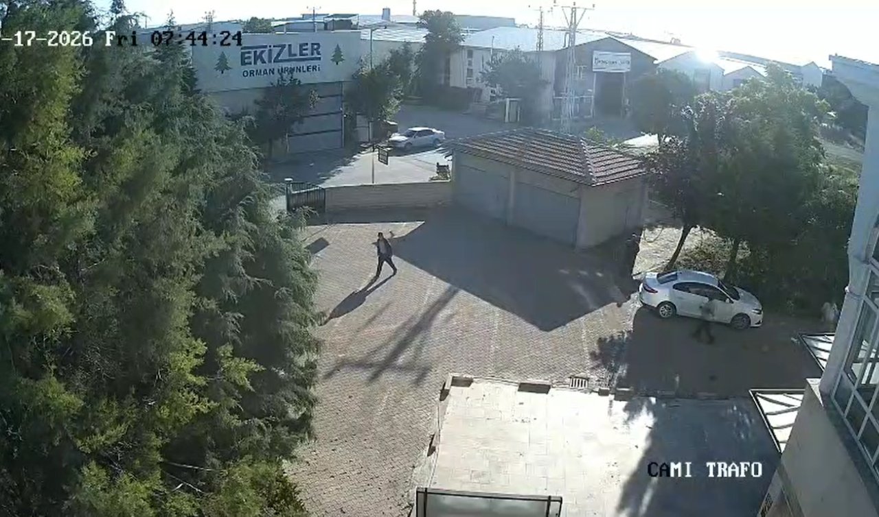 Konya’da sanayi sitesinde facianın eşiğinden dönüldü: Kuğuların oyunu yangın çıkardı!