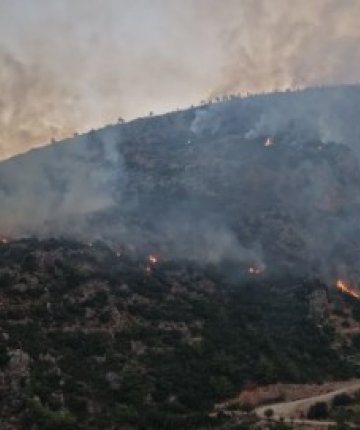 Antalya ve Muğla’daki orman yangınlarına müdahale ediliyor