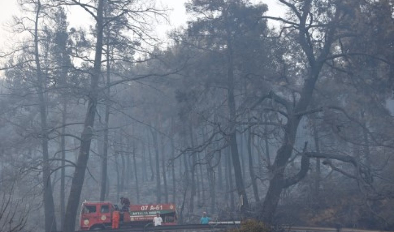Muğla, Antalya ve Balıkesir’deki orman yangınlarına müdahale ediliyor