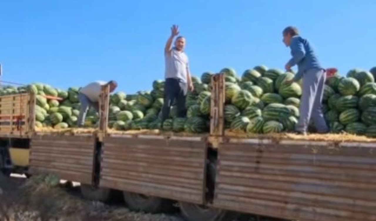 Konya’dan Amasya’ya gönderildi, tonlarca karpuz çöpe döküldü
