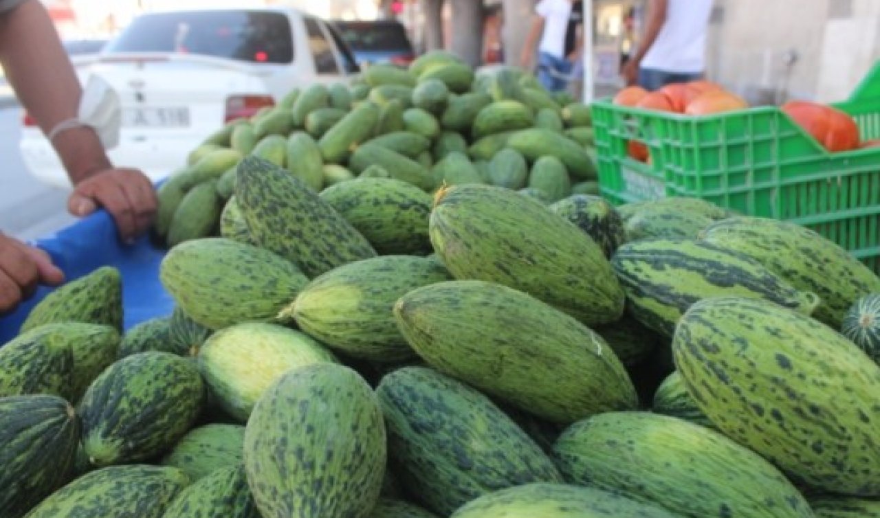 Konya’da tarlalarda hasat telaşı! Hırtlaklar tek tek toplanıyor