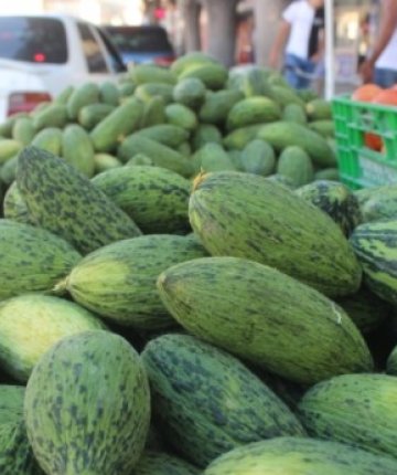 Konya’da tarlalarda hasat telaşı! Hırtlaklar tek tek toplanıyor