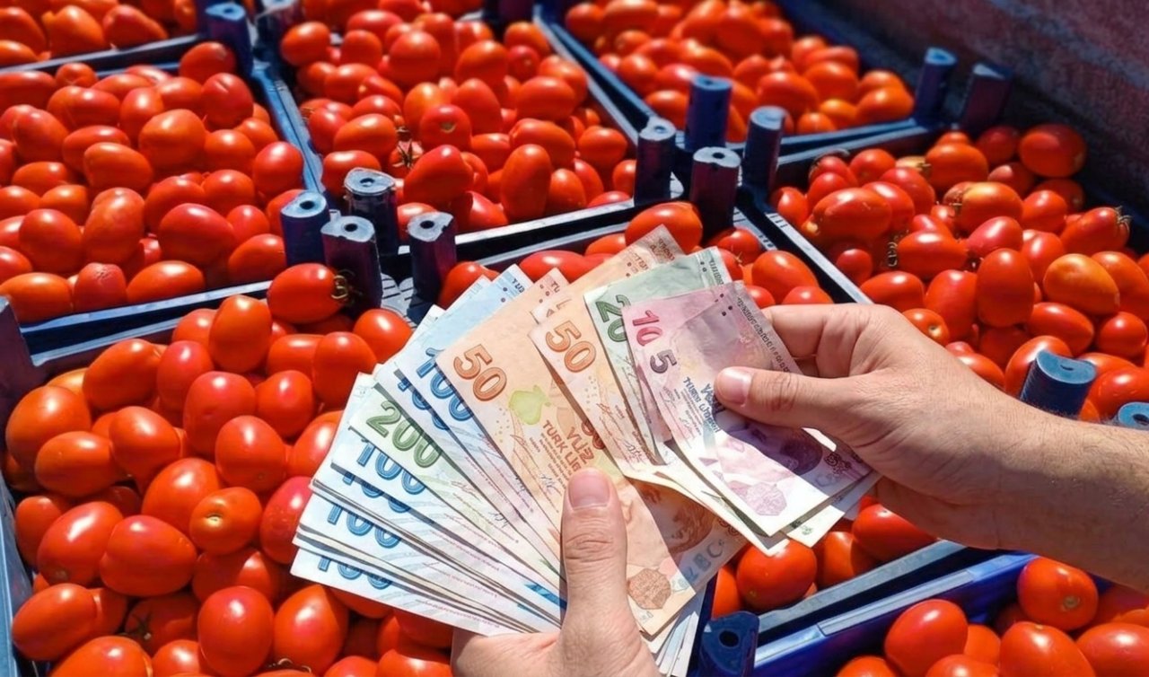 Konya’da salça ve turşu sezonu başladı! Fiyatlar cep yakıyor