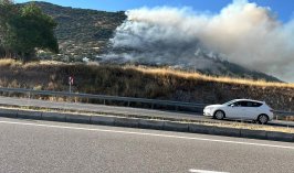 Seydişehir-Konya yolunda orman yangını çıktı 