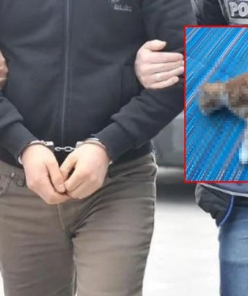 Konya’yı ayağa kaldıran kedi vahşetinde 1 şüpheli yakalandı