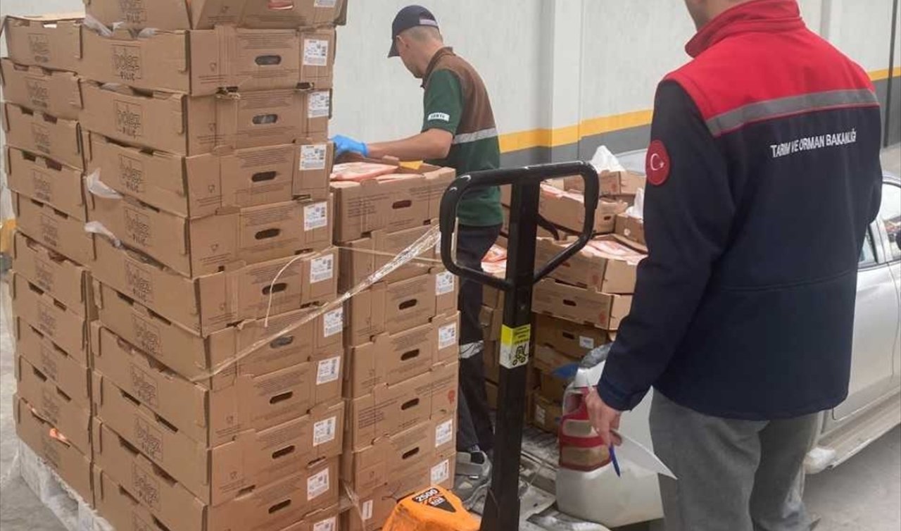 CİMER başvurusu ortaya çıkardı! Konya’da 7 ton tavuk etine el konuldu