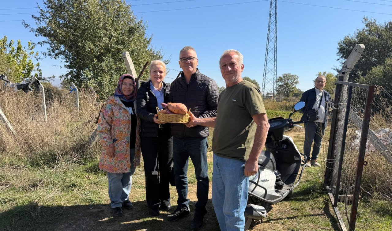 Seydişehir’de bir ilk! 4 farklı renkte tatlı patates yetiştirdi