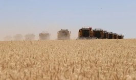TİGEM’den Konya’da 252 milyon liralık buğday ve arpa ihalesi!
