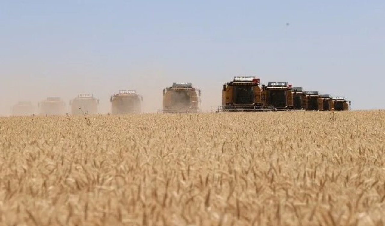 TİGEM’den Konya’da 252 milyon liralık buğday ve arpa ihalesi!