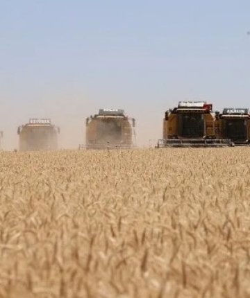 TİGEM’den Konya’da 252 milyon liralık buğday ve arpa ihalesi!
